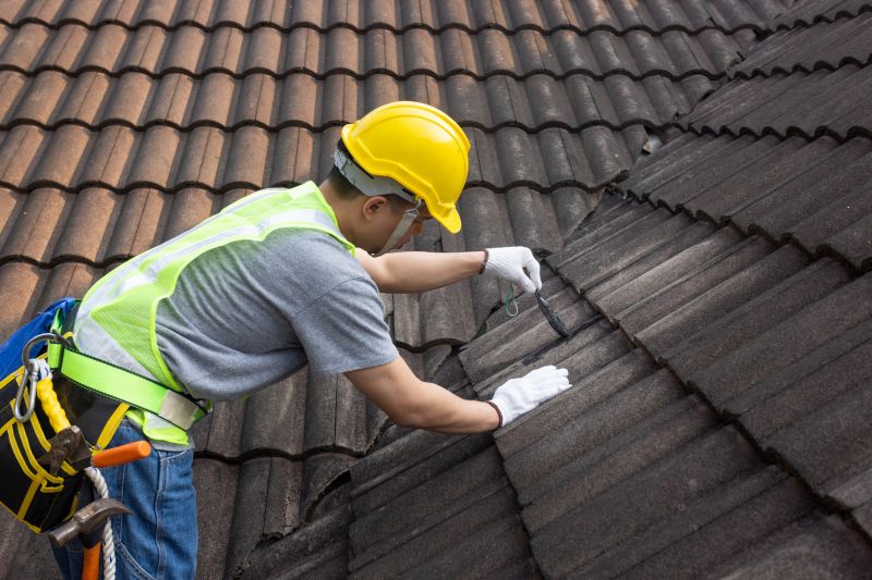 Professional Roofing Contractor